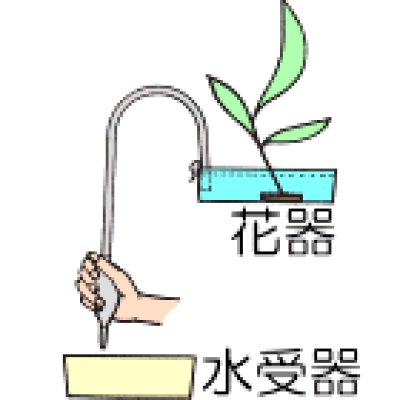 画像1: 華道用品 水替ポンプ（吸水器） ロングタイプ