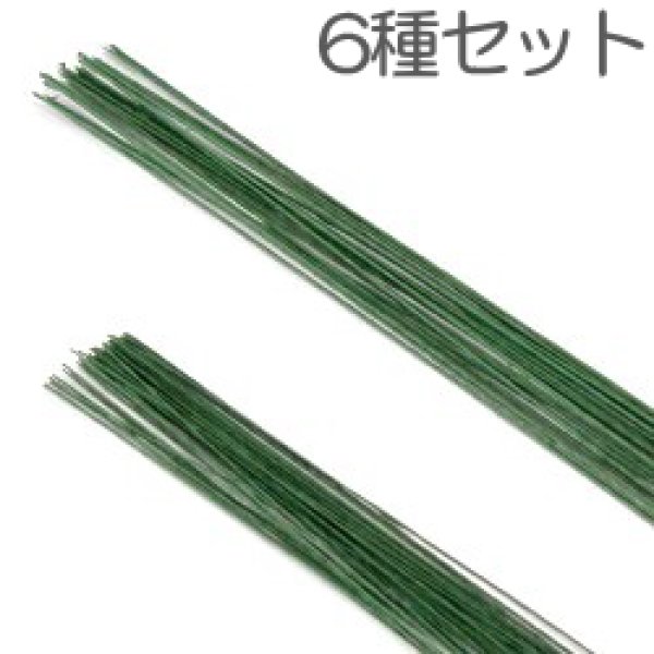 画像1: 華道用品 紙巻ワイヤー（緑）45cm 6種セット (1)